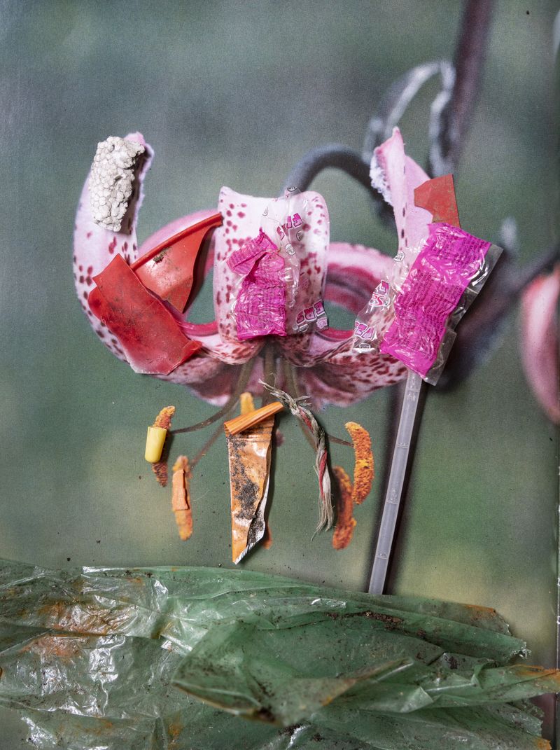 © Florence Iff - Image from the Amalgamated Fragmentations-Penetration photography project