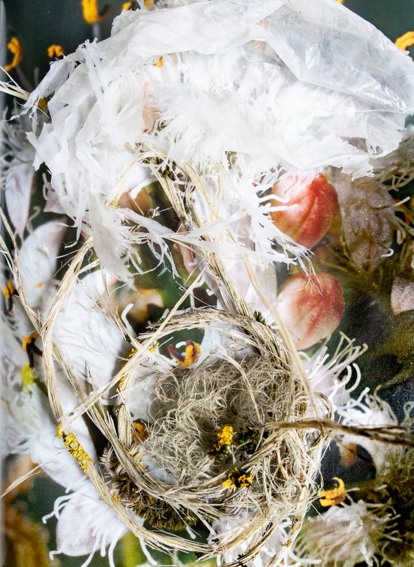 © Florence Iff - Image from the Amalgamated Fragmentations-Penetration photography project