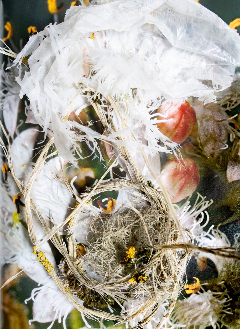 © Florence Iff - Image from the Amalgamated Fragmentations-Penetration photography project