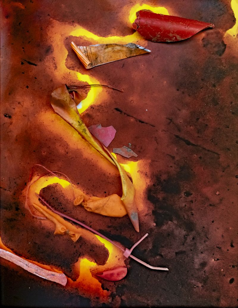 © Florence Iff - Image from the Amalgamated Fragmentations-Penetration photography project