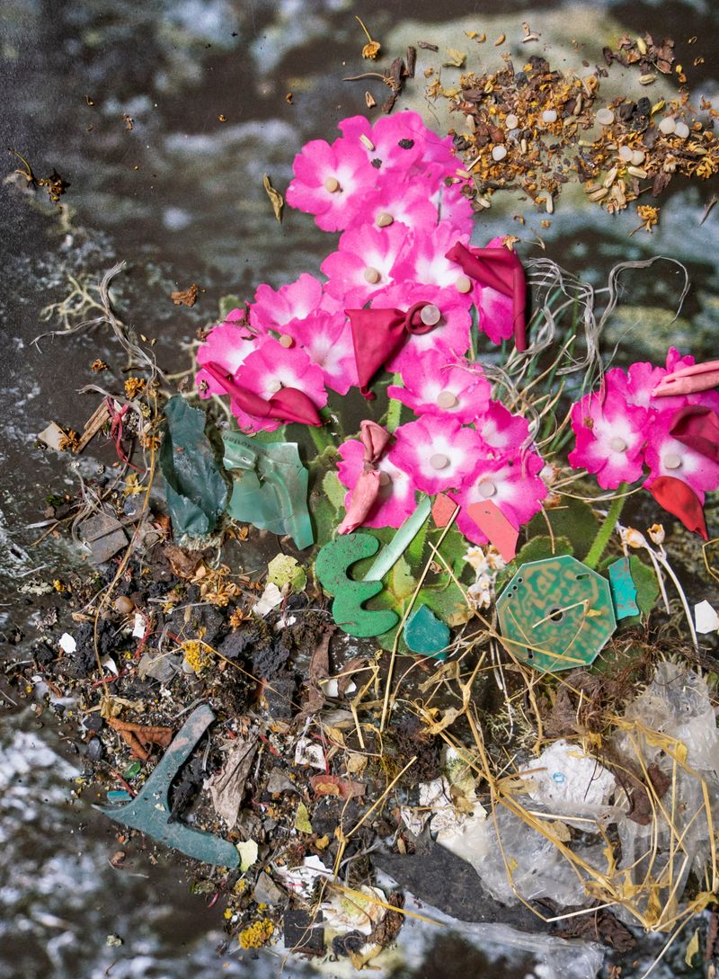 © Florence Iff - Image from the Amalgamated Fragmentations-Penetration photography project