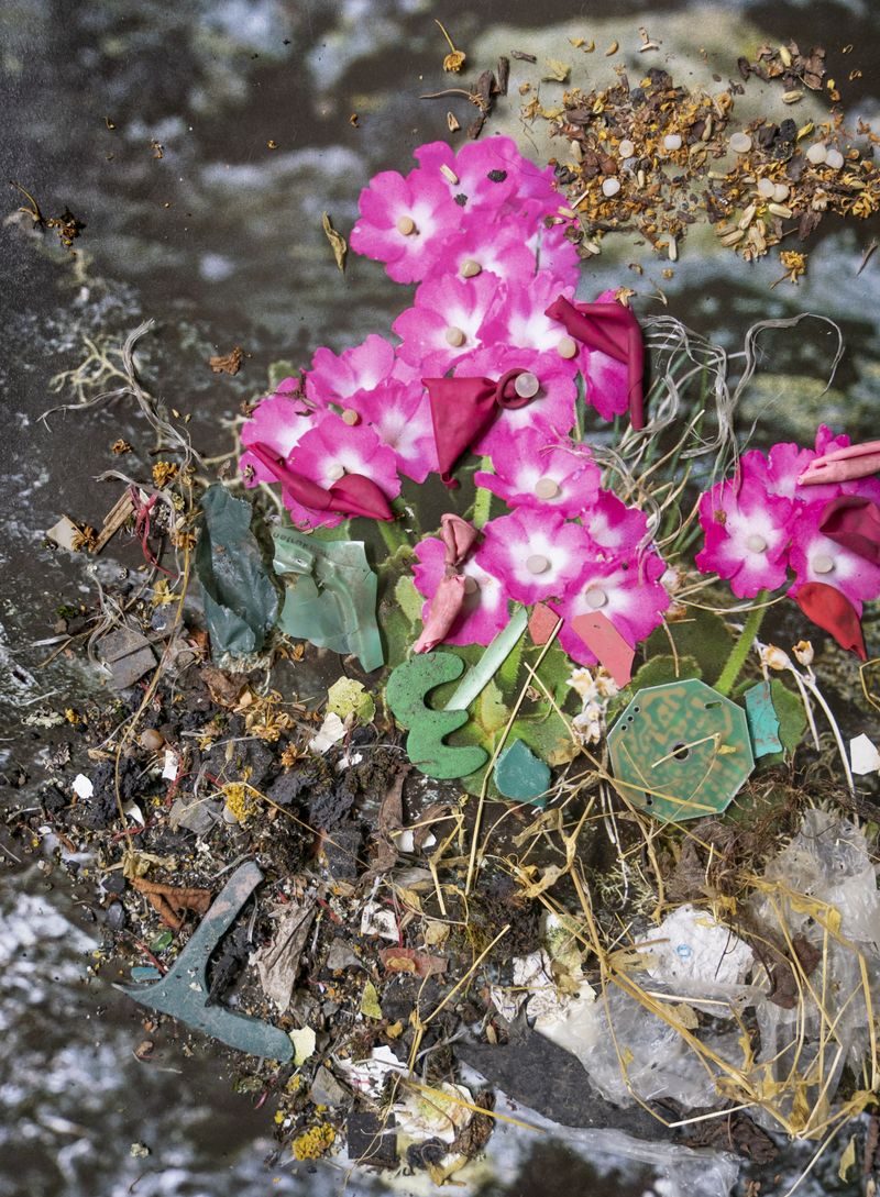 © Florence Iff - Image from the Amalgamated Fragmentations-Penetration photography project
