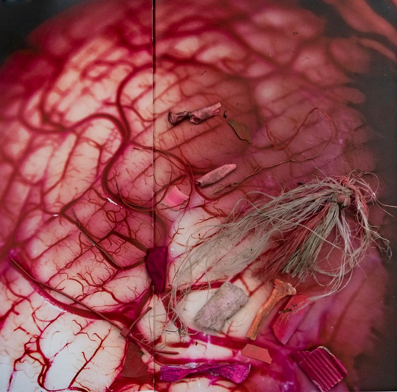 © Florence Iff - Image from the Amalgamated Fragmentations-Penetration photography project