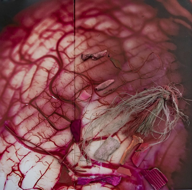 © Florence Iff - Image from the Amalgamated Fragmentations-Penetration photography project