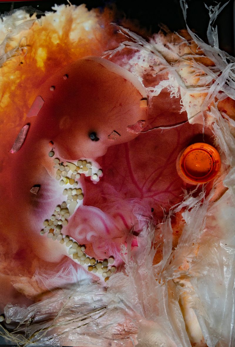 © Florence Iff - Image from the Amalgamated Fragmentations-Penetration photography project