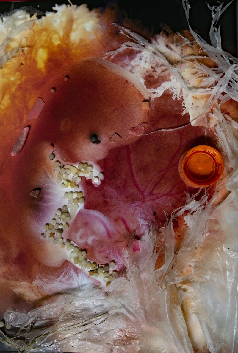 © Florence Iff - Image from the Amalgamated Fragmentations-Penetration photography project