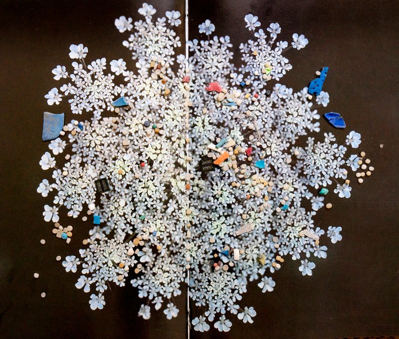 © Florence Iff - Image from the Amalgamated Fragmentations-Penetration photography project