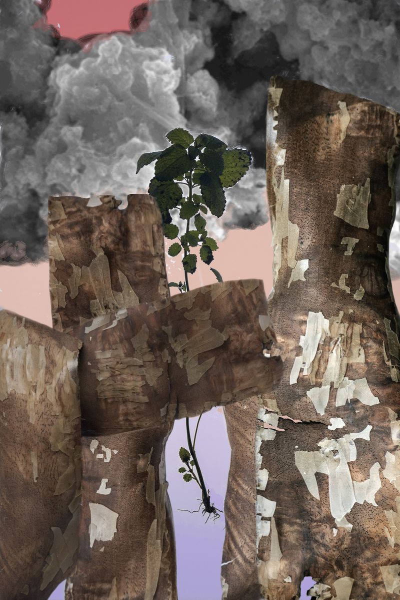 © Florence Iff - Amalagamated Fragmentation/Plastisphere-Plant 3
