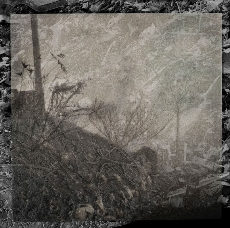 © Florence Iff - Amalagamated Fragmentation/Plastisphere-Earth 7