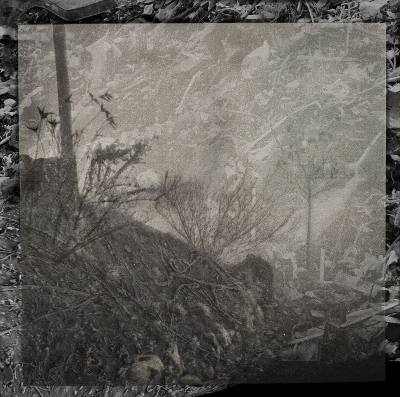 © Florence Iff - Amalagamated Fragmentation/Plastisphere-Earth 7
