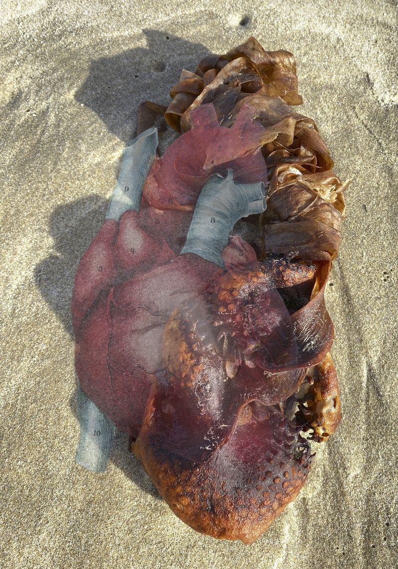 © Florence Iff - embraced heart