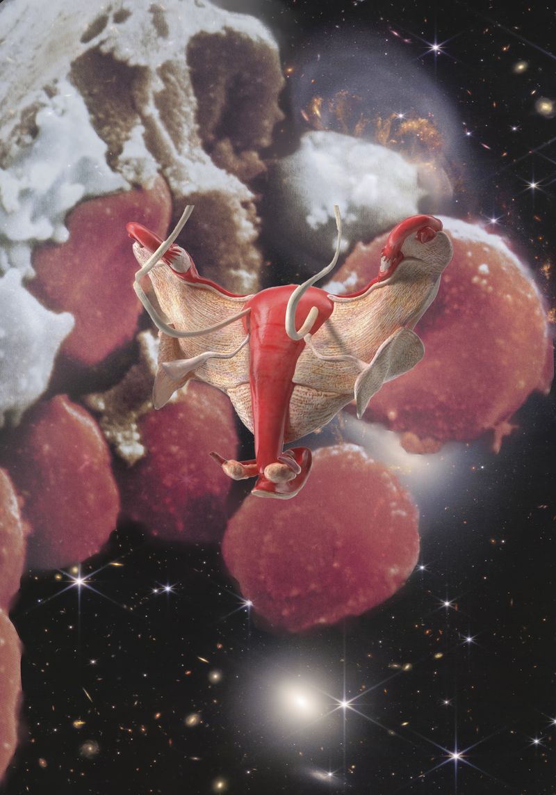 © Florence Iff - bloodcells and pelvic organs in the orbit