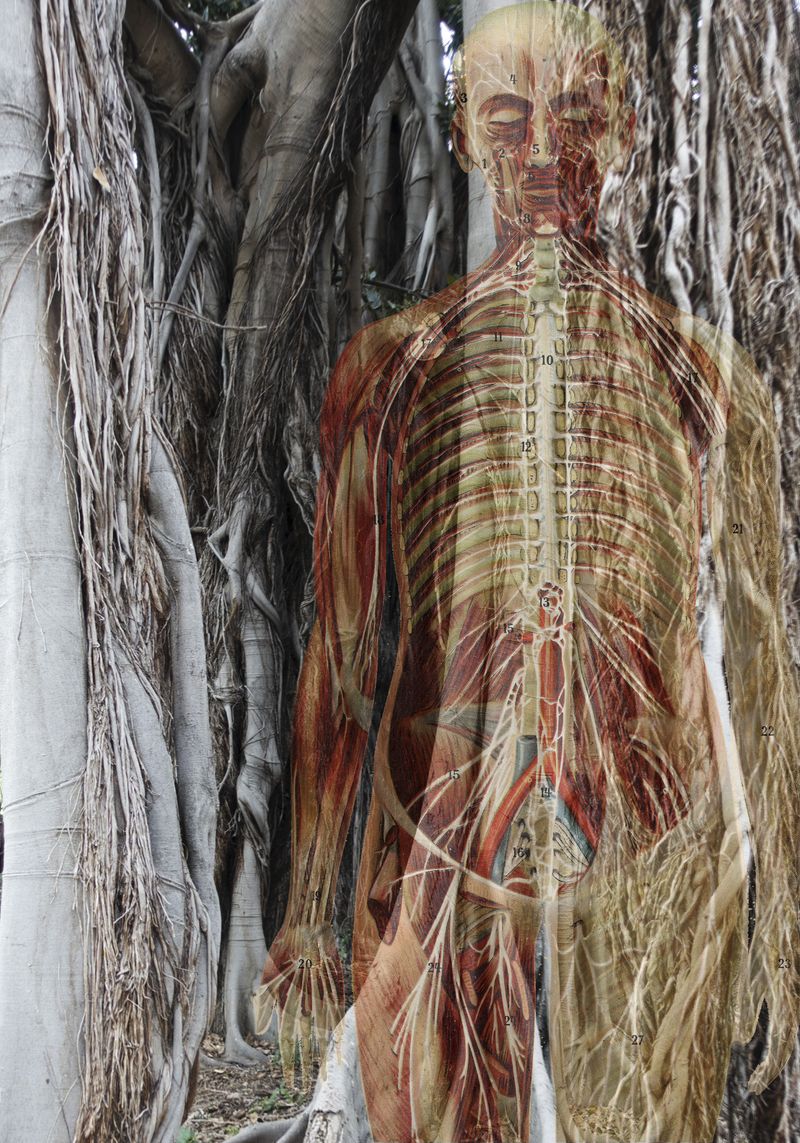 © Florence Iff - nervous system reloaded