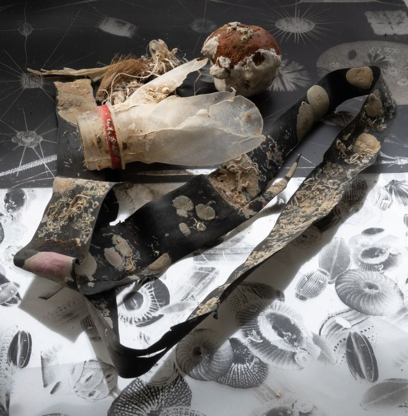 © Florence Iff - Image from the Entangled Matter photography project