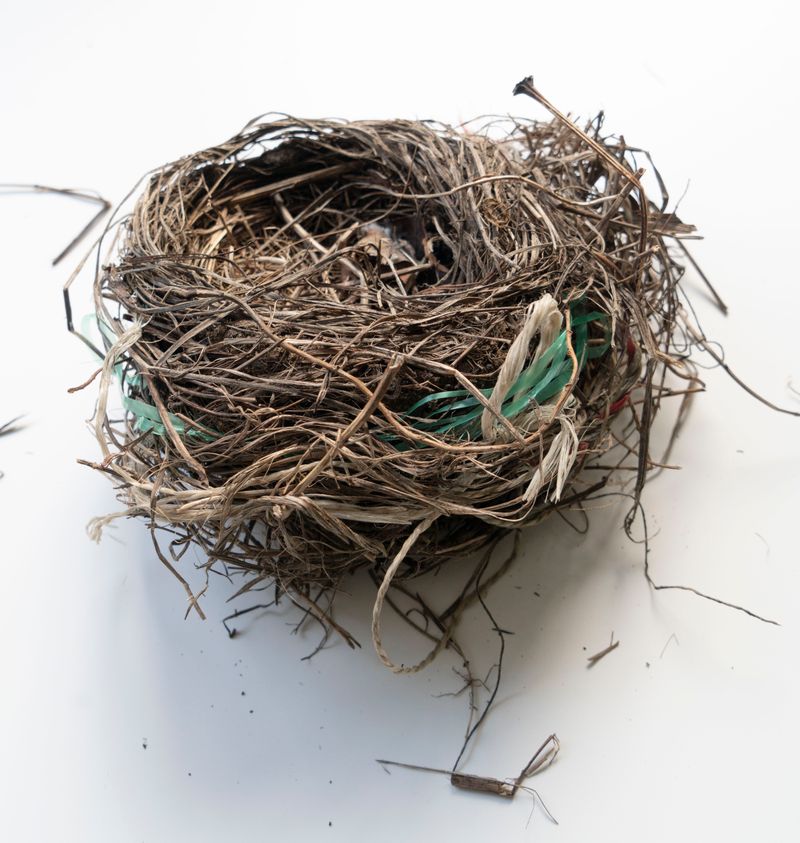 © Florence Iff - found birds nest with intertwined plastic strings