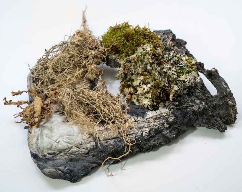 © Florence Iff - found piece of melted plastic combined with lichen and moss