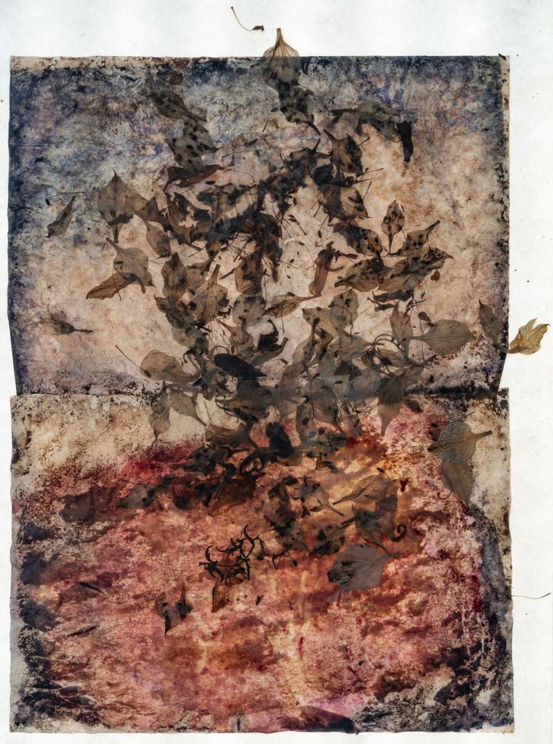 © Florence Iff - decomposed photographic RC paper combined with dried petals