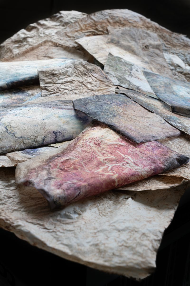 © Florence Iff - Buried and decomposed photographic RC-paper