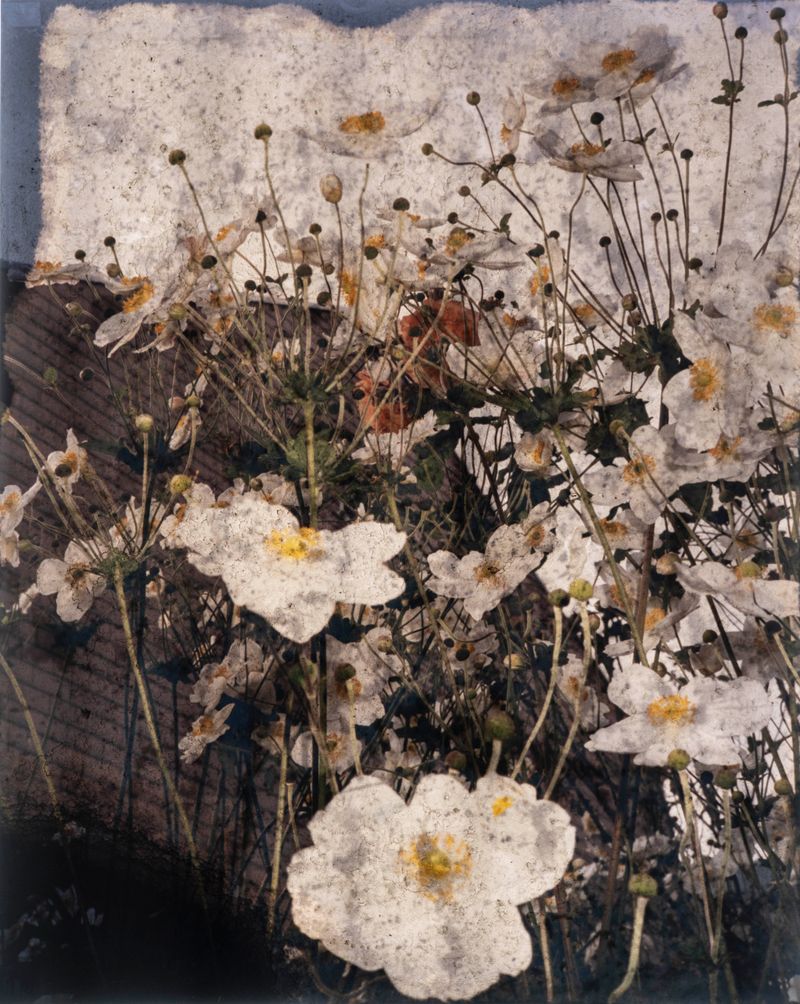 © Florence Iff - a photograph emerged in waste oil