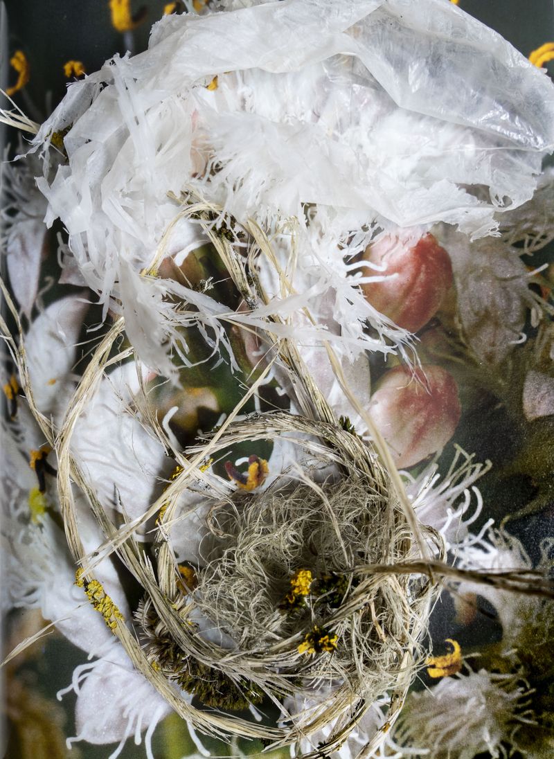 © Florence Iff - Plastic pieces and strings collected in the Alps, tangled with lichens and moss, draped over a photo of alpine flowers.