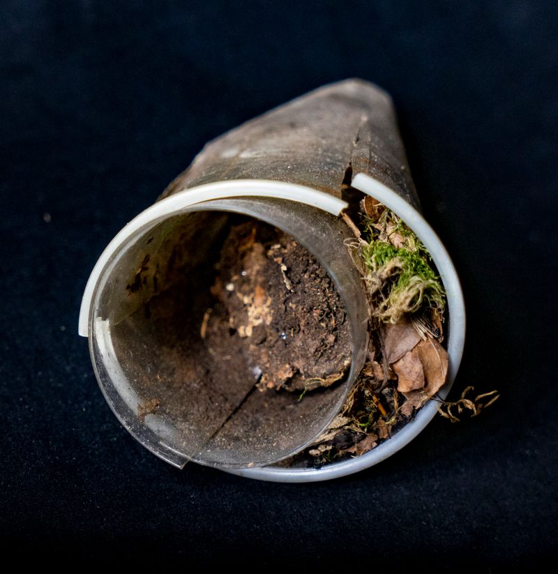 © Florence Iff - Image from the Entangled Matter photography project