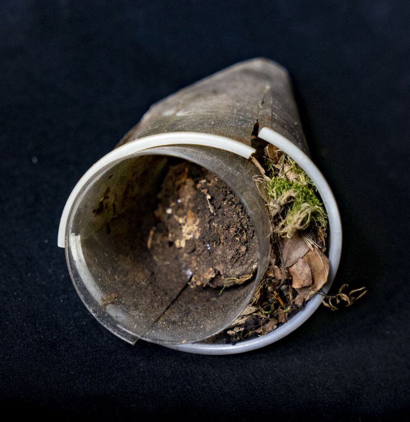 © Florence Iff - A plastic cup that has been inhabited by natural material