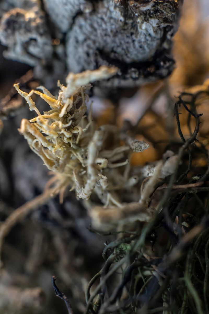 © Florence Iff - Image from the Home photography project