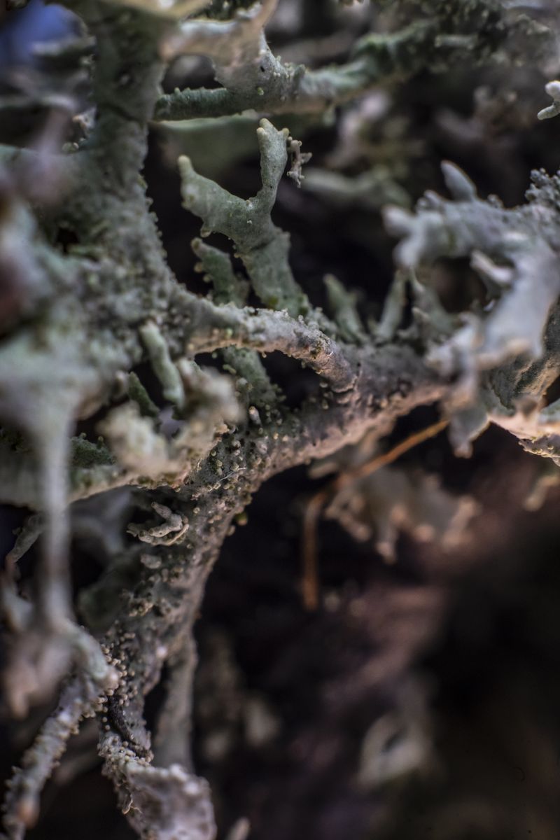 © Florence Iff - Image from the Home photography project