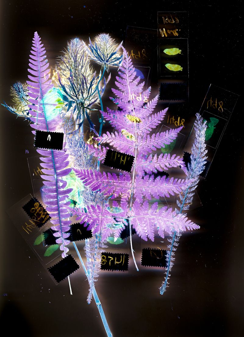 © Florence Iff - Image from the Amalgamated Fragmentations/Plastiverse photography project
