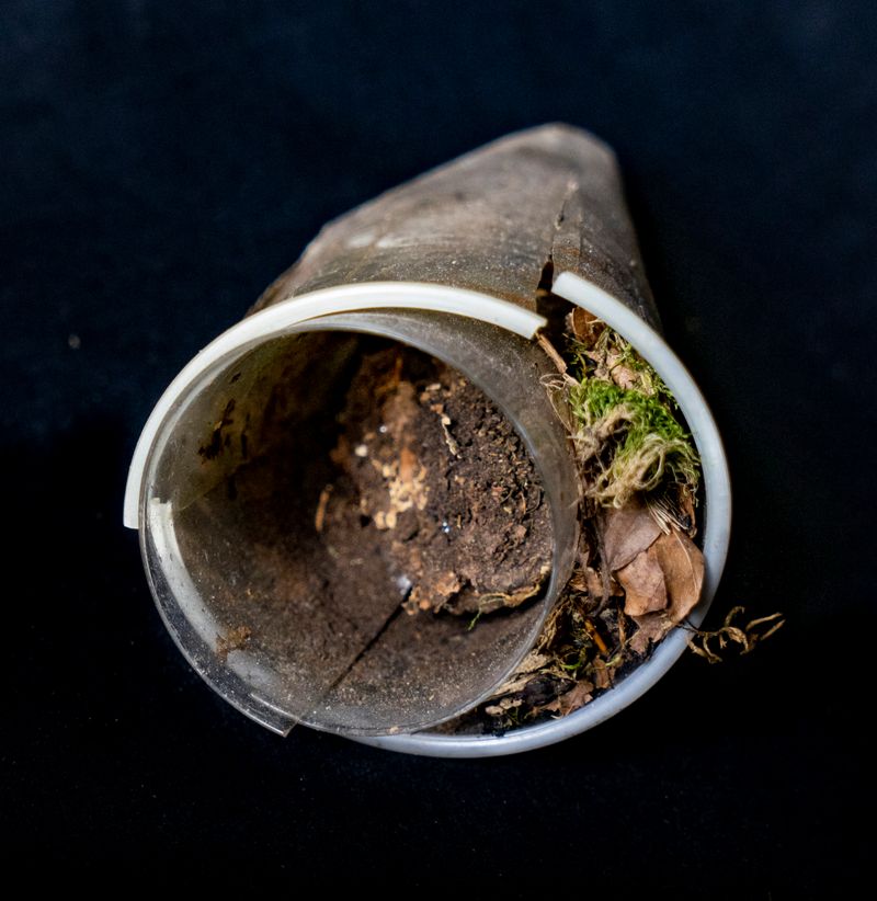 © Florence Iff - Image from the Amalgamated Fragmentations/Plastiverse photography project