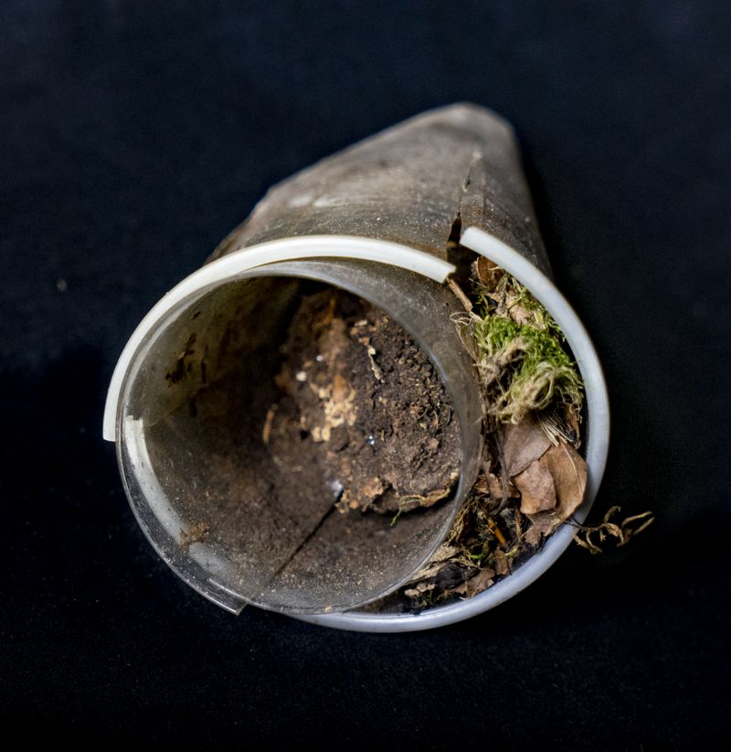 © Florence Iff - Image from the Amalgamated Fragmentations/Plastiverse photography project