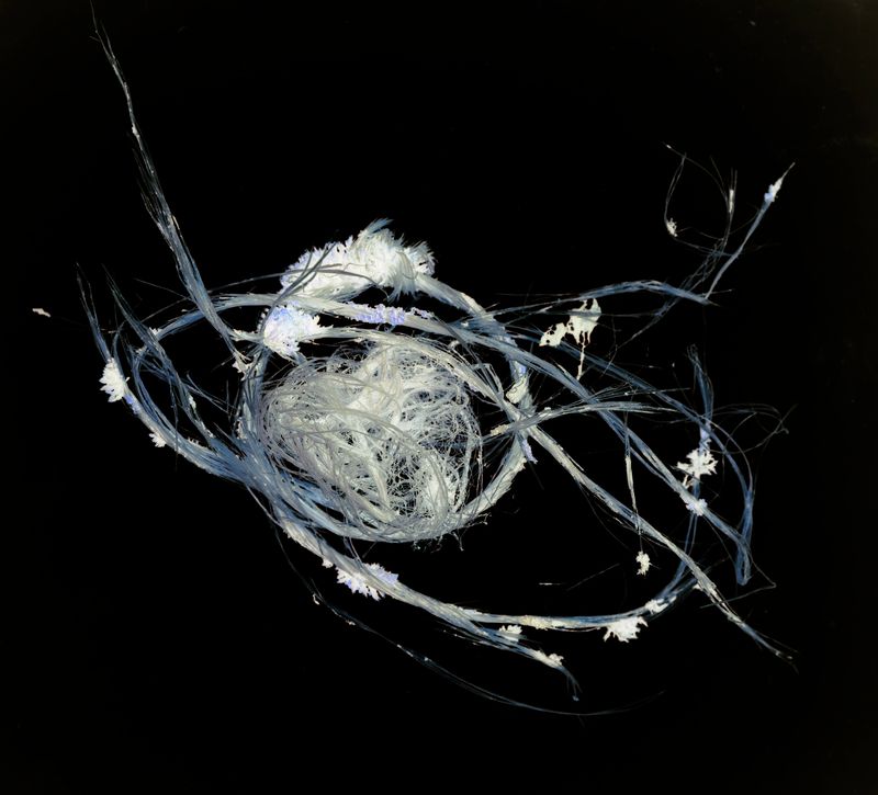 © Florence Iff - Image from the Amalgamated Fragmentations/Plastiverse photography project