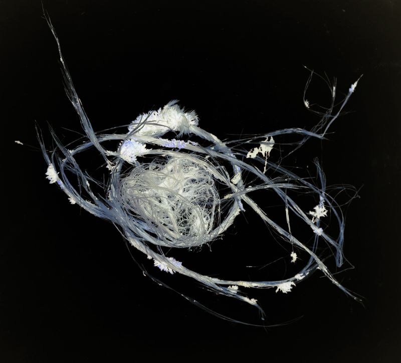 © Florence Iff - Image from the Amalgamated Fragmentations/Plastiverse photography project