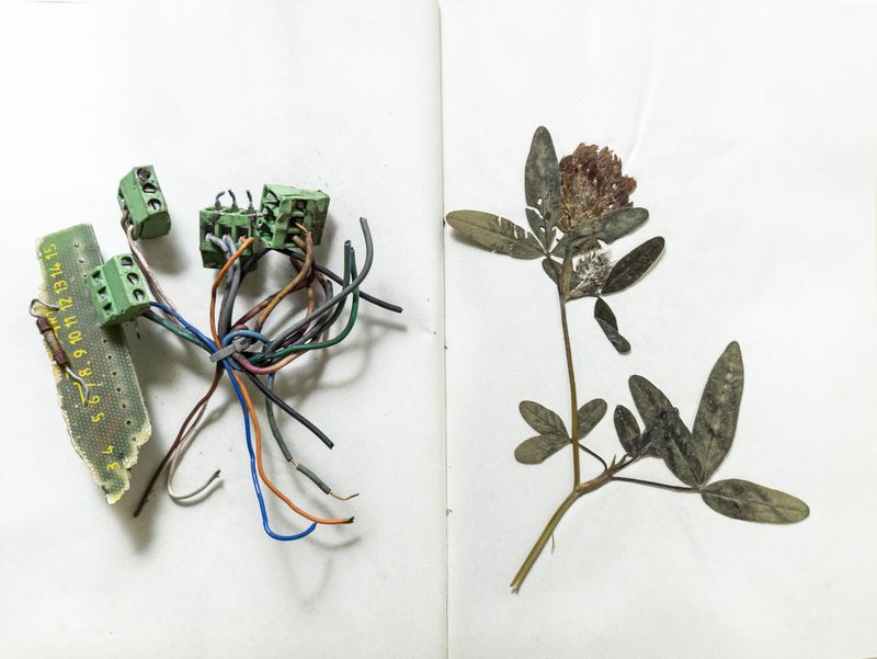 © Florence Iff - Image from the Amalgamated Fragmentations/Plastiverse photography project