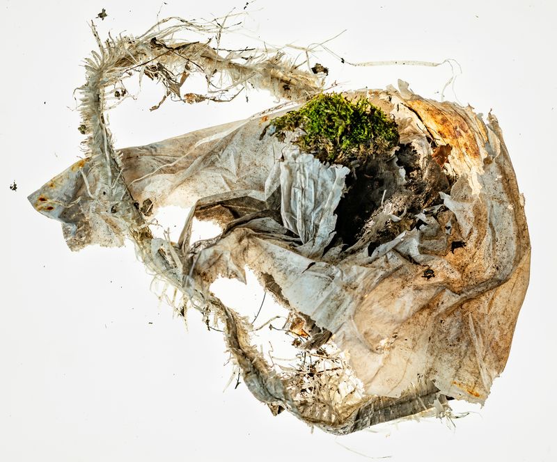 © Florence Iff - Image from the Amalgamated Fragmentations/Plastiverse photography project