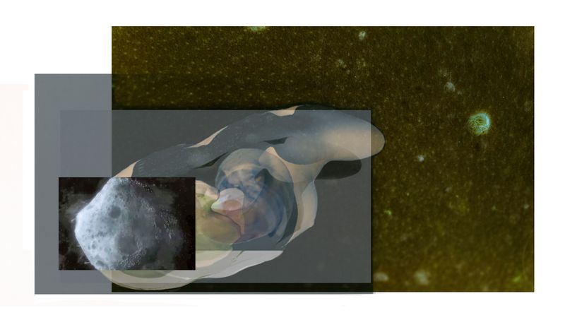 © Florence Iff - 67P / GIADA size _28x50cm