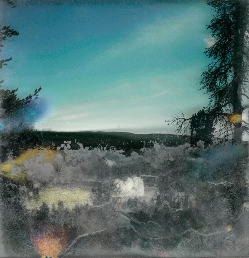 © Florence Iff - Amalgamated Fragmentation–Microbescape 11