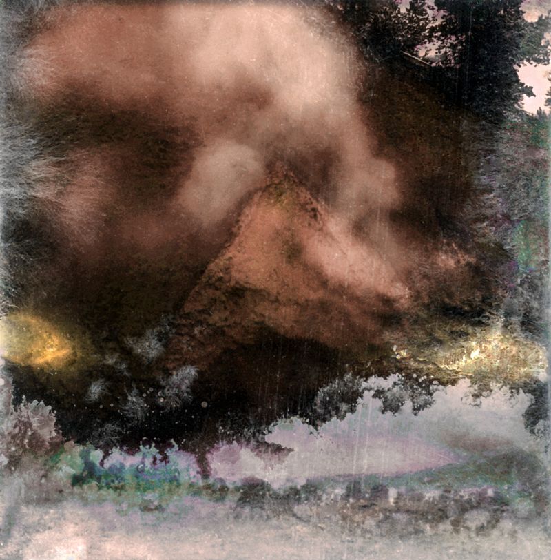 © Florence Iff - Amalgamated Fragmentation–Microbescape 9