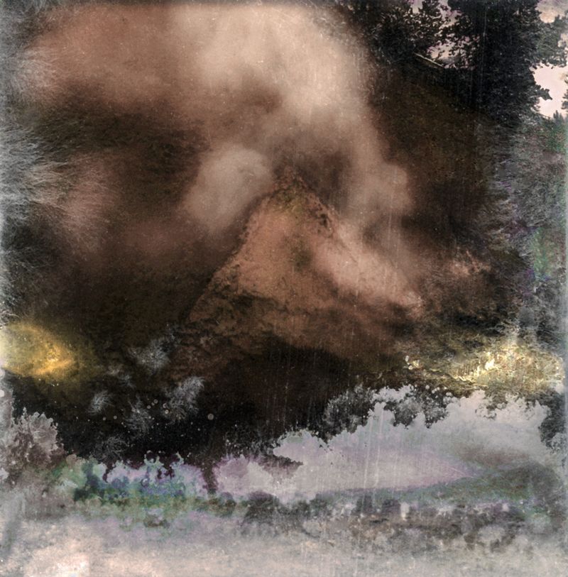 © Florence Iff - Amalgamated Fragmentation–Microbescape 9