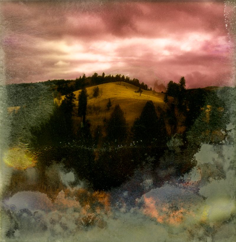 © Florence Iff - Amalgamated Fragmentation–Microbescape 15