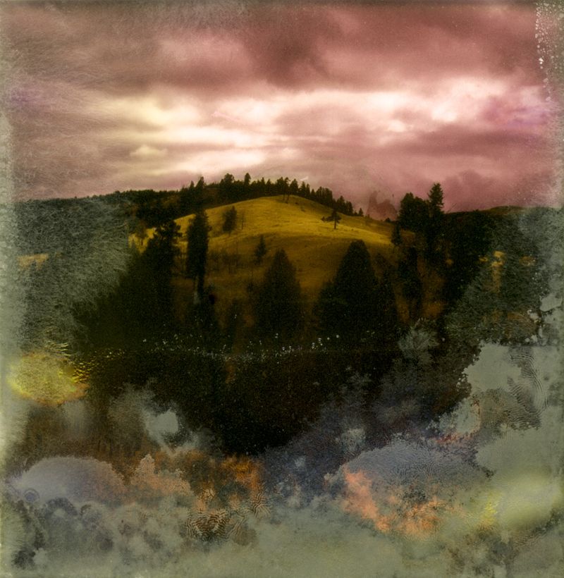© Florence Iff - Amalgamated Fragmentation–Microbescape 15
