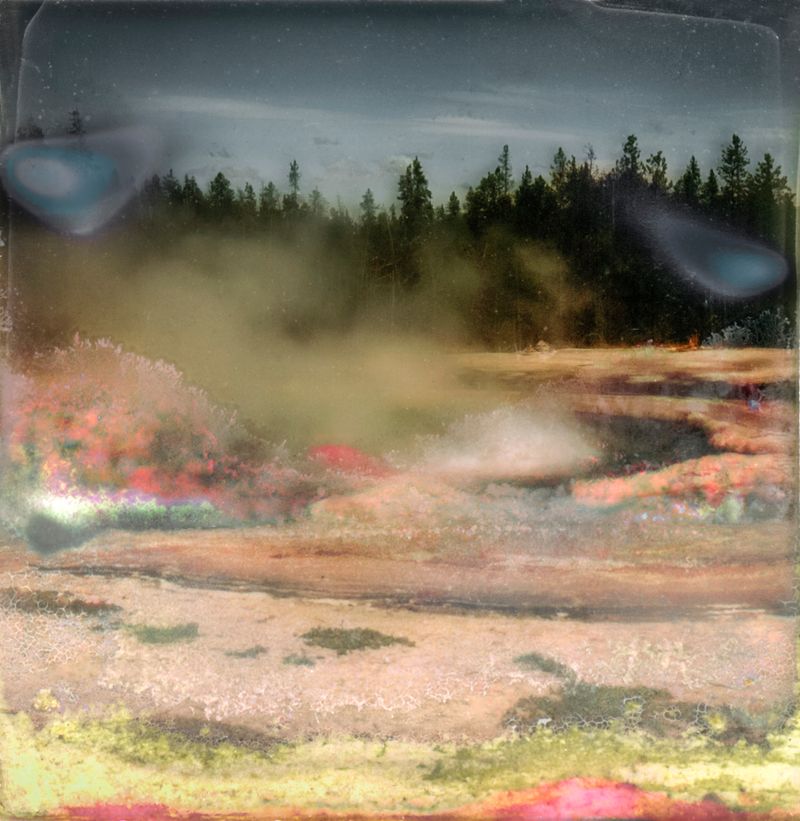 © Florence Iff - Amalgamated Fragmentation–Microbescape 8