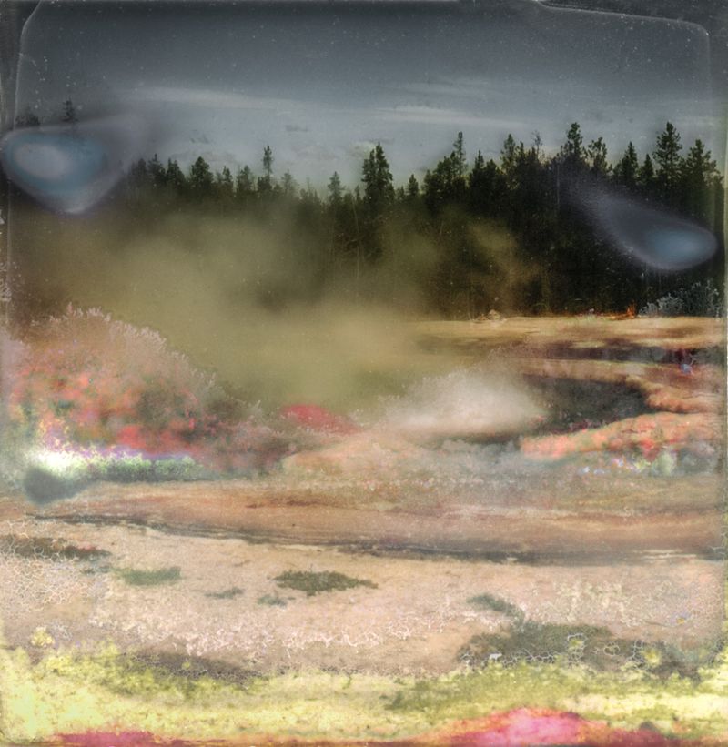 © Florence Iff - Amalgamated Fragmentation–Microbescape 8