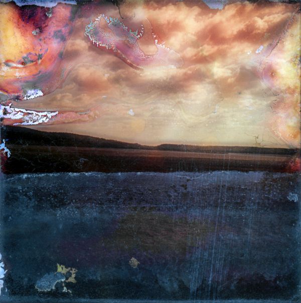 © Florence Iff - Amalgamated Fragmentation–Microbescape 2