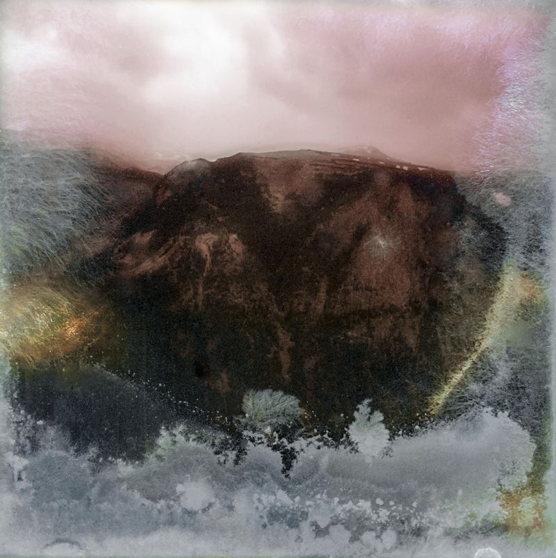 © Florence Iff - Amalgamated Fragmentation–Microbescape 10