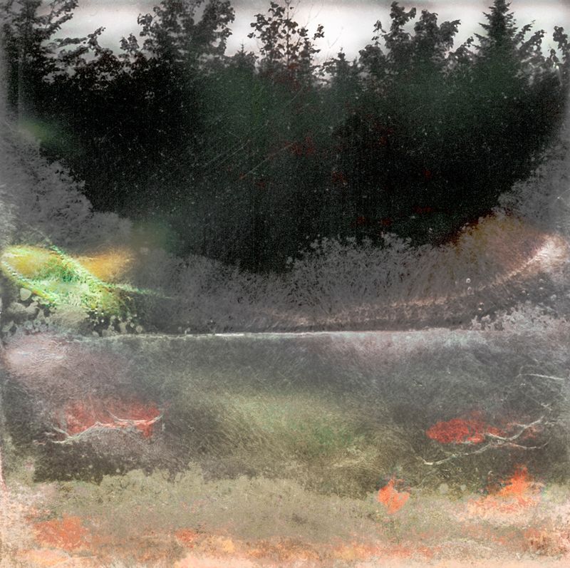 © Florence Iff - Amalgamated Fragmentation–Microbescape 6