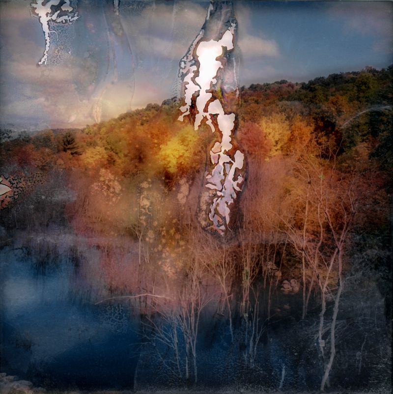 © Florence Iff - Amalgamated Fragmentation–Microbescape 4