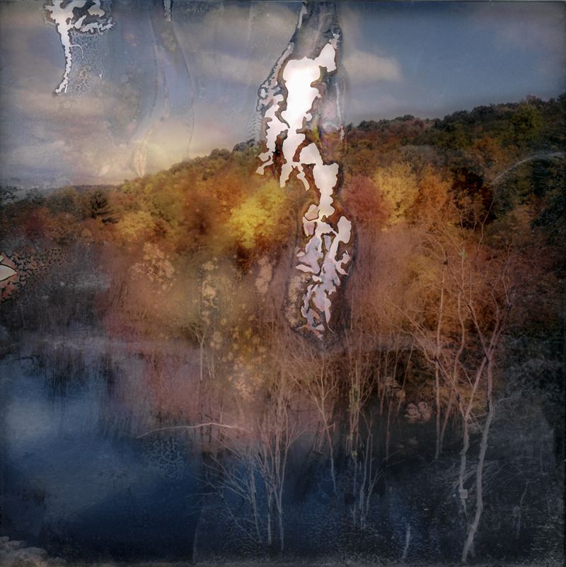 © Florence Iff - Amalgamated Fragmentation–Microbescape 4