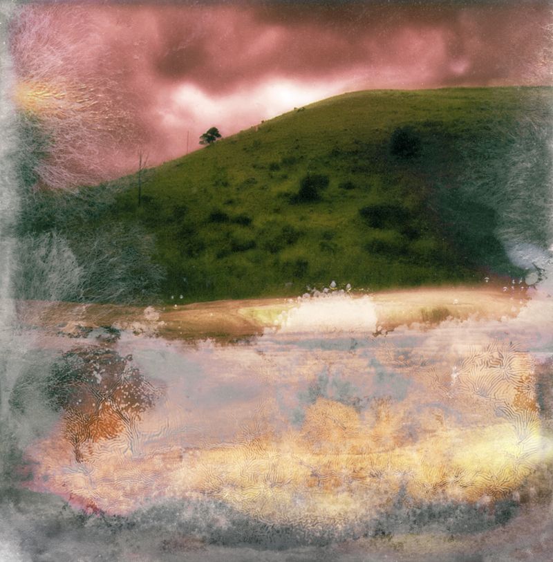 © Florence Iff - Amalgamated Fragmentation–Microbescape 12