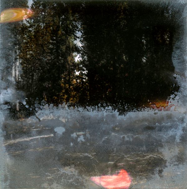 © Florence Iff - Amalgamated Fragmentation–Microbescape 1